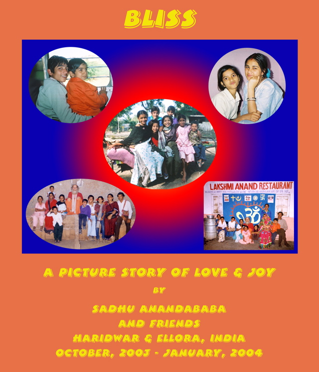 Bookcover-Mishra family