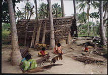 loan scheme support for coconut leaf roofing self help program with women